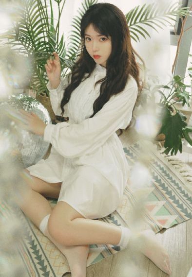 雪花女神龙电视剧全集免费观看