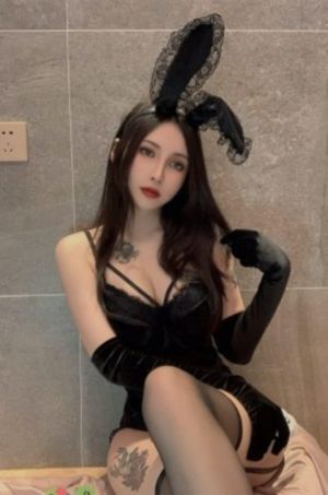 龙珠gt国语