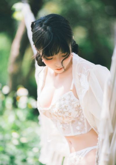 憧憬成为魔法少女第二季