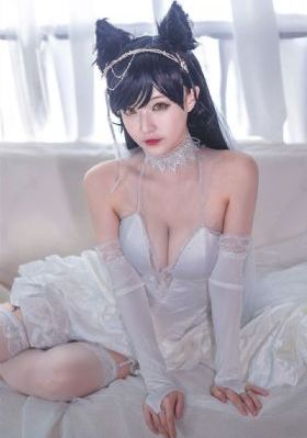 成全视频免费高清观看在线电视剧