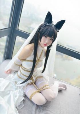 幻乐森林免费观看