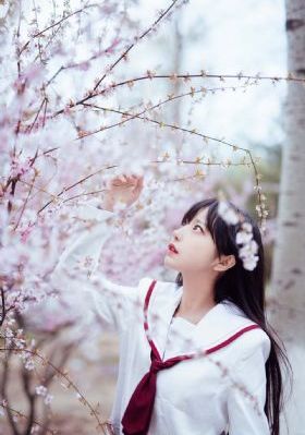 《斗罗大陆》高清免费观看完整版