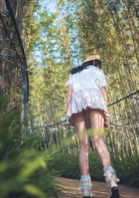 明月苍茫